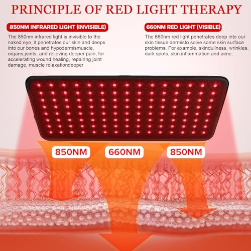 Yofalo 660nm LED Red Light and 850nm Near Infrared Red Light Therapy Belt Device for Body Pain Waist yofalo