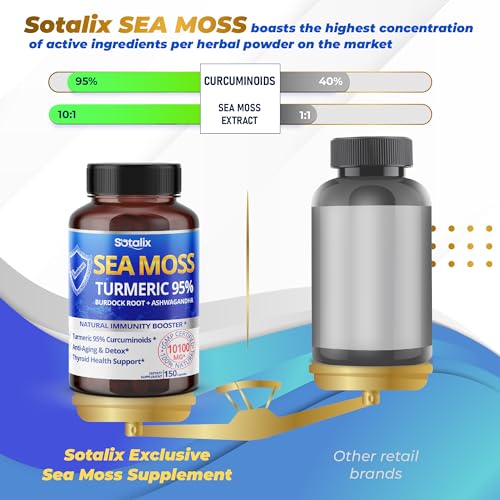 Sotalix Sea Moss Capsule 10100mg with Ashwagandha, Burdock Root, Bladderwrack SOTALIX SUPPLEMENT