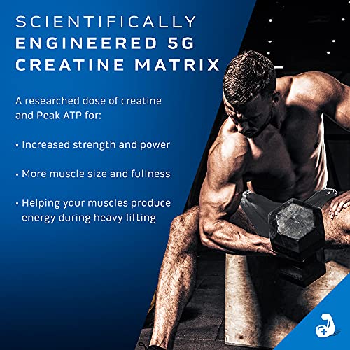Creatine Powder | MuscleTech Cell-Tech Elite Creatine Powder | Post Workout Recovery