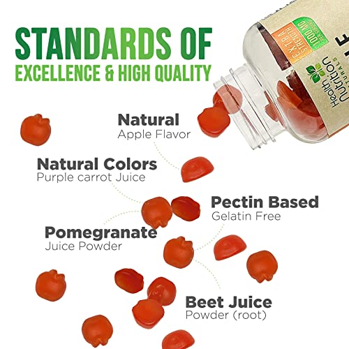 Vegan Apple Cider Vinegar Gummies | Max Strength 1000mg | ACV Supplement Gummy for Adults Health Nutrition Naturals