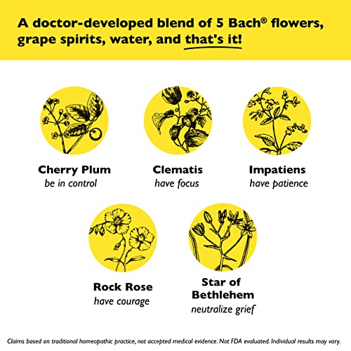 Day & Night Bundle, Bach RESCUE REMEDY Spray, Natural Stress Relief [and] RESCUE SLEEP Spray RESCUE