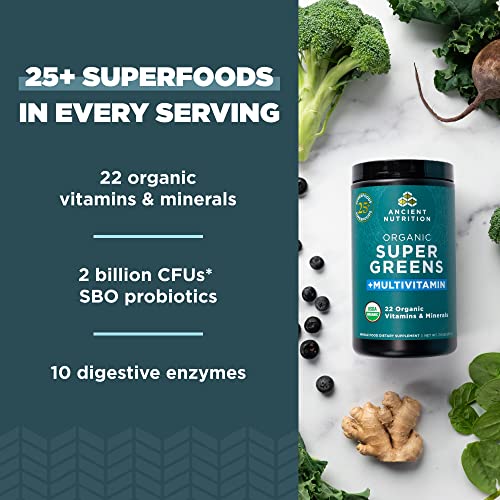 Ancient Nutrition Organic SuperGreens and Multivitamin Powder with Probiotics Ancient Nutrition