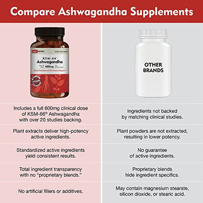 DailyNutra KSM-66 Ashwagandha 600mg Organic Root Extract - High Potency Supplement