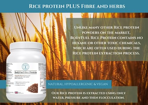 Complementary Supplements | BodyFuel Brown Rice Protein Powder Plus Chicory, Green Tea Complementary Supplements