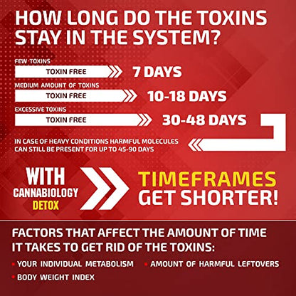 Complete Body Cleanse - Natural, Healthy Cleansing Support for Liver, Urinary Tract, Kidney
