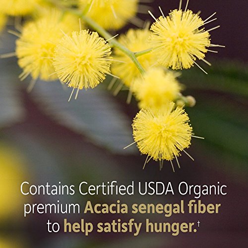Garden of Life Dr Formulated Organic Fiber Supplement Powder Unflavored, Sugar Free
