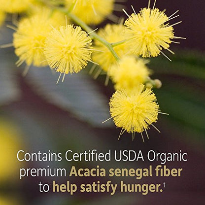 Garden of Life Dr Formulated Organic Fiber Supplement Powder Unflavored, Sugar Free