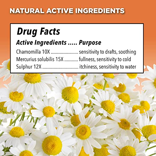 Similasan Earache Relief, 2 Count Similasan