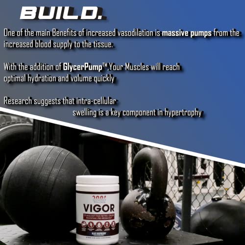 Leviathan Wellness Vigor - Stimulant Free, Nitric Oxide Boosting Pre-Workout Powder