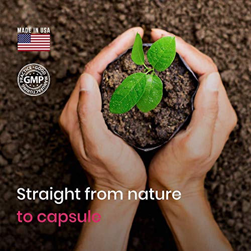 Coshisensu Berberine HCI 1200mg - Premium Berberine Supplements - 60 Capsules Coshisensu