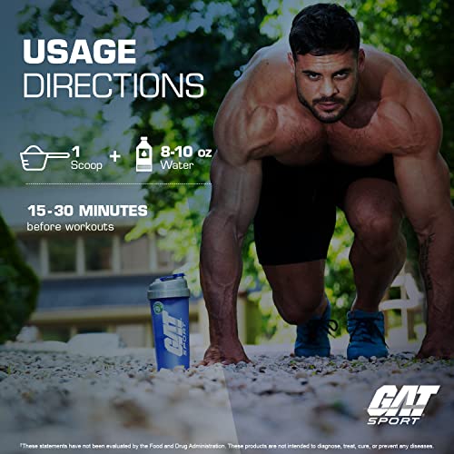 GAT SPORT PMP (Peak Muscle Performance), Pre-Workout, 30 Servings (Blue Raspberry