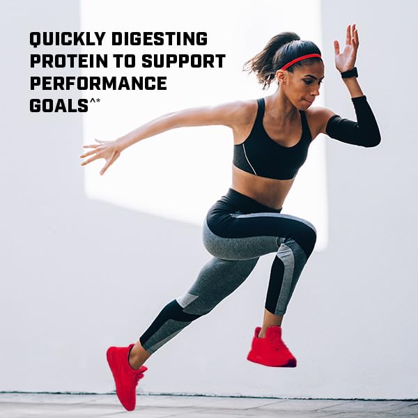 GNC Pro Performance 100% Whey Protein Powder - Vanilla Cream, 25 Servings GNC