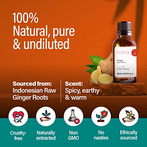 H’ana Pure Ginger Oil for Belly Fat & Pain - 100% Natural Therapeutic Grade Ginger Essentia H'ana