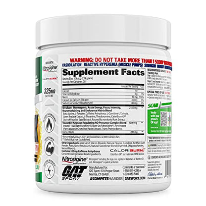 GAT SPORT NITRAFLEX Burn, Pre Workout Thermogenic Powder, Apple Melon, 30 Servings