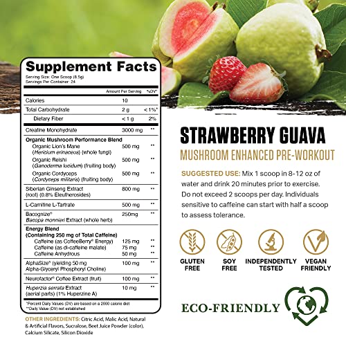 Ambrosia Kinetic Organic Preworkout, Mushroom Enhanced Natural Pre Workout Supplement Ambrosia