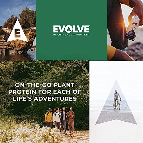 Evolve Plant Based Protein Shake, Café Mocha, 20g Vegan Protein, Dairy Free, No Artificial