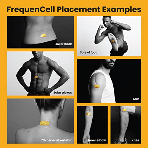 Menopause FrequenCell • Wearable Frequency Therapy for The Multi-Year Physical Transition of Menopause VITALFIELD