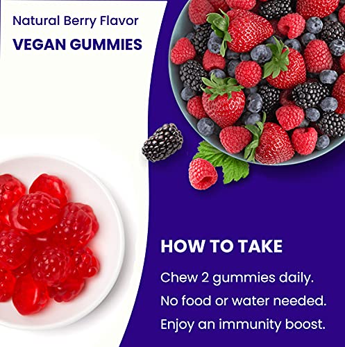 Elderberry Gummies | Sambucus Elderberry Gummies for Adults & Kids | Vitamin C
