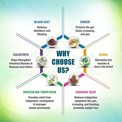 SWISSLIFE FOREVER Colon 15 Day Quick Cleanse, Advanced Gut Cleanse Detox, Improves SWISSLIFE FOREVER