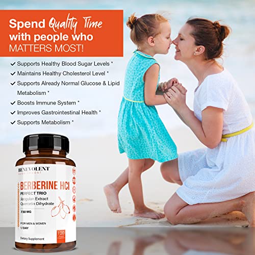 Premium Berberine HCL 730mg - 120 VCAPS Perfect Trio Complex with Non-GMO Jiaogulan Benevolent Nourishment