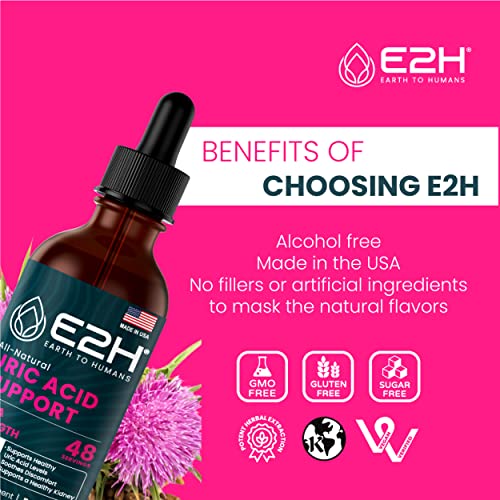 E2H Uric Acid Support Supplement - Tart Cherry and Devil’s Claw - Supports Uric Acid Health E2H EARTH TO HUMANS