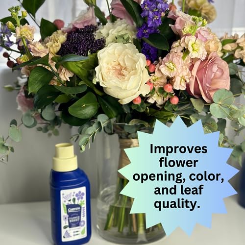 Chrysal Cut Flower Universal Food (10 ml/L Bottle) — Increase The Flower Boost with Floral Supplies Chrysal