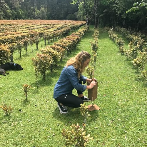 Kolorex Gut Care Candida Balance (Advanced Candida Care) 30ct