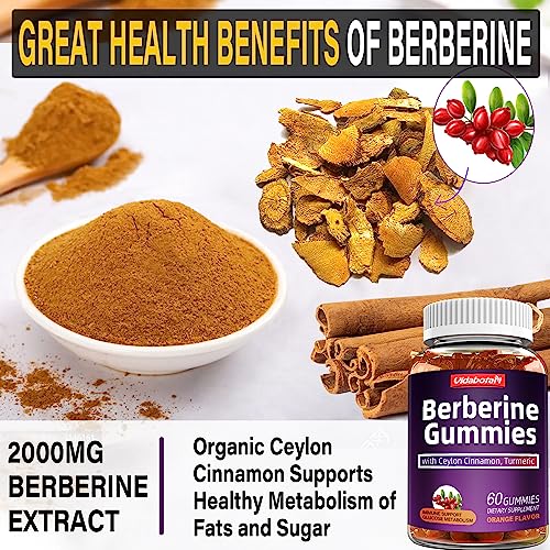 Berberine Gummies with Ceylon Cinnamon 2000mg High Potency Berberine HCI Supple vidabotan