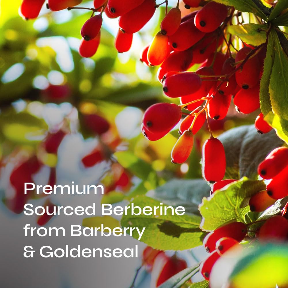 Neurogan Berberine Supplement Capsules, Weight Management Support - 45,000MG Natural Neurogan