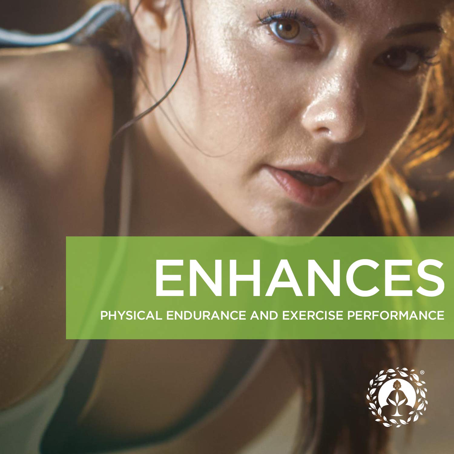 Zen Spirit Maca Root Powder Organic - Peruvian Root Premium Grade Superfood (Raw) Zen Spirit