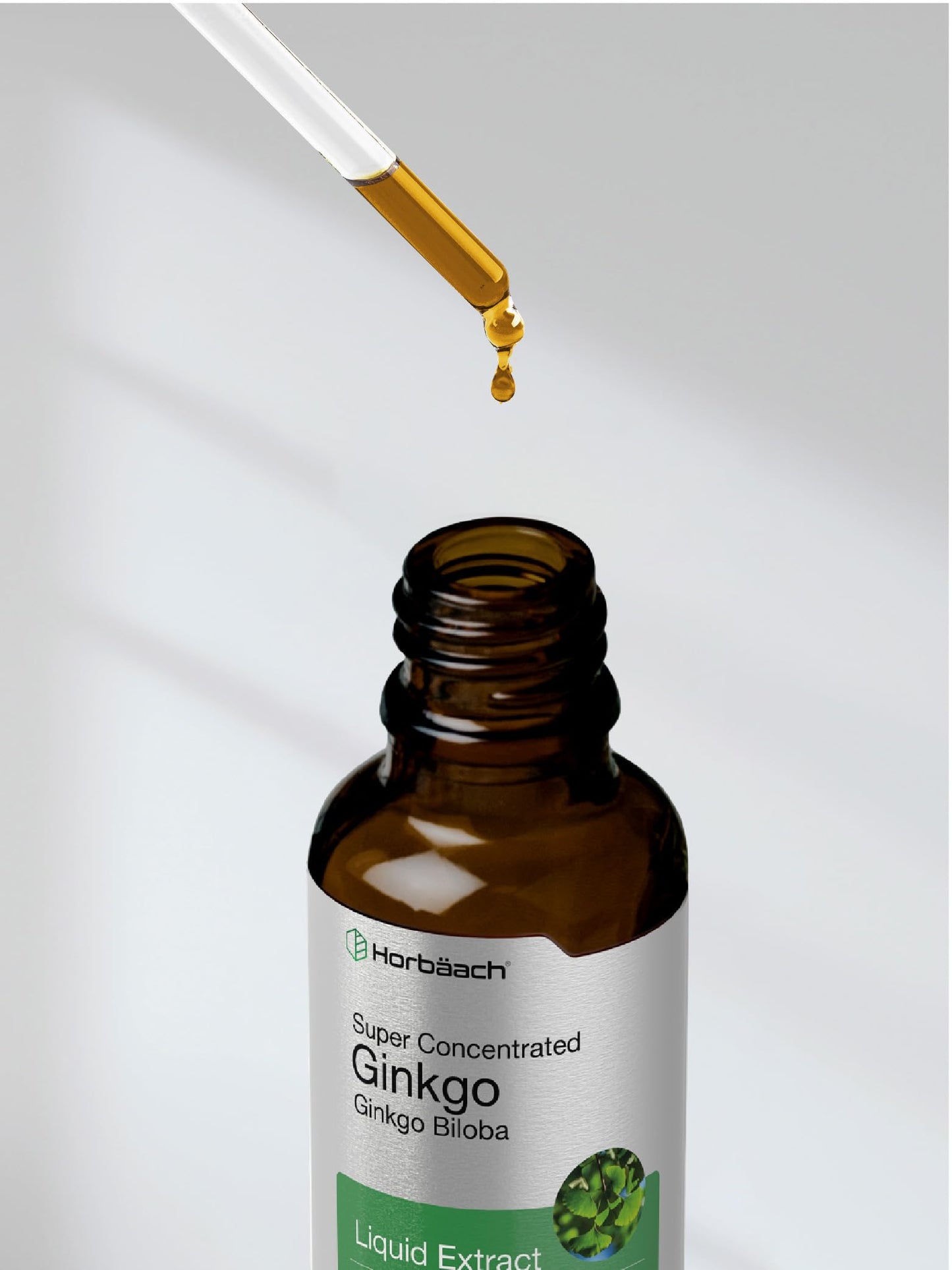 Ginkgo Biloba Extract Liquid 2 fl oz | Alcohol-Free Herb Supplement | Vegetarian