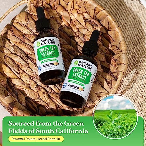Green Tea Extract - 1000mg - 50% EGCG - Green Tea Liquid Drops, 4x more Powerful than Drops Of Nature