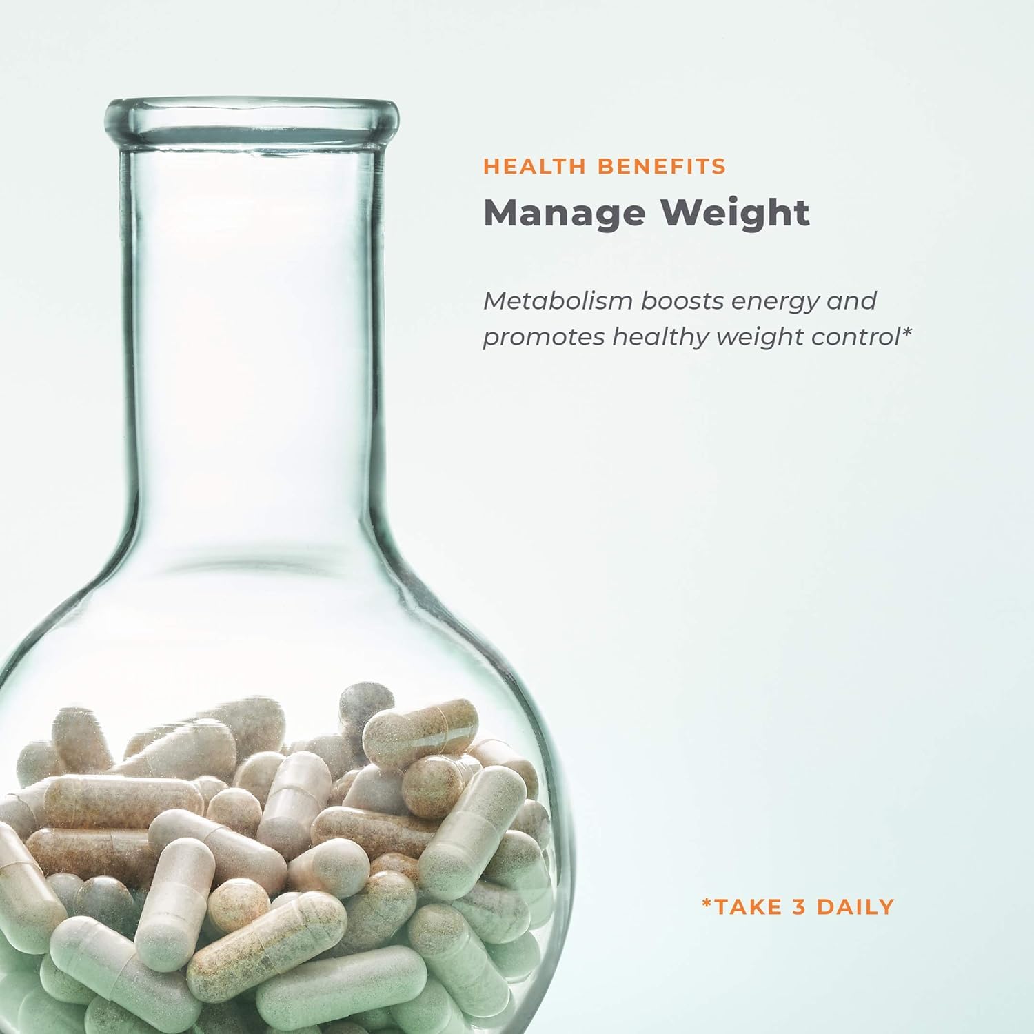 LifeSeasons - Metabolism - Weight Control Support & Energy Boosting Supplement LifeSeasons