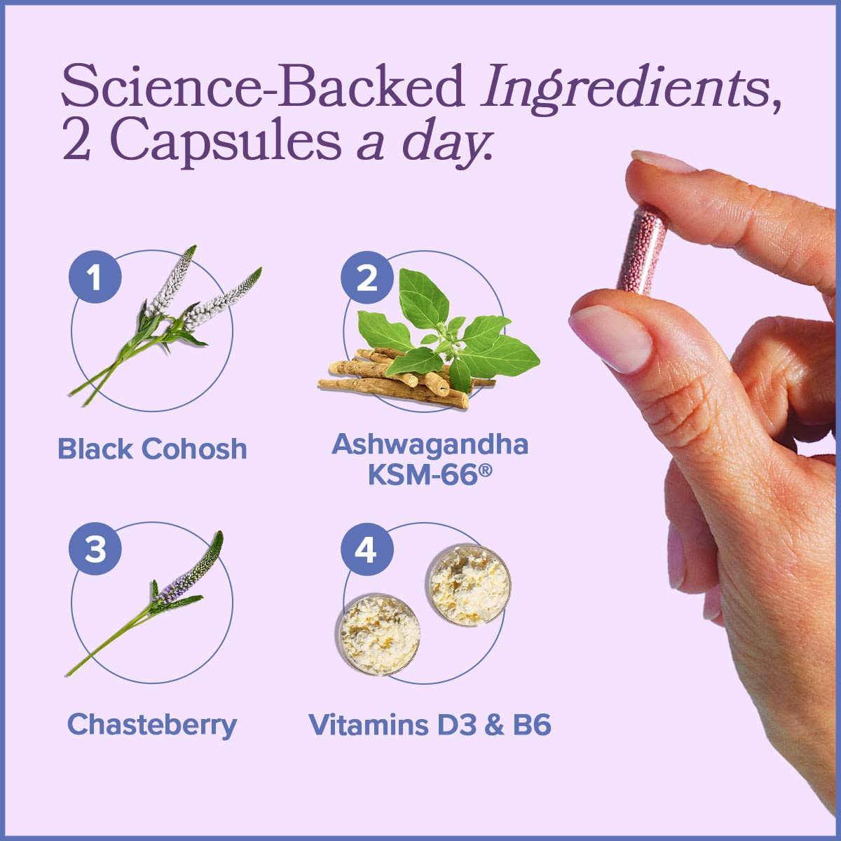 MENO Vitamins for Menopause, 30 Servings (Pack of 3) - Hormone-Free Menopause