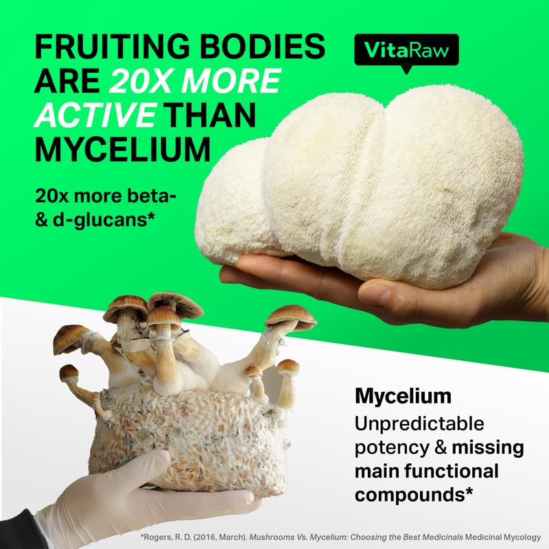 Organic Lions Mane Supplement Capsules 2400 mg - Powerful Nootropic - Helps Maintain VitaRaw