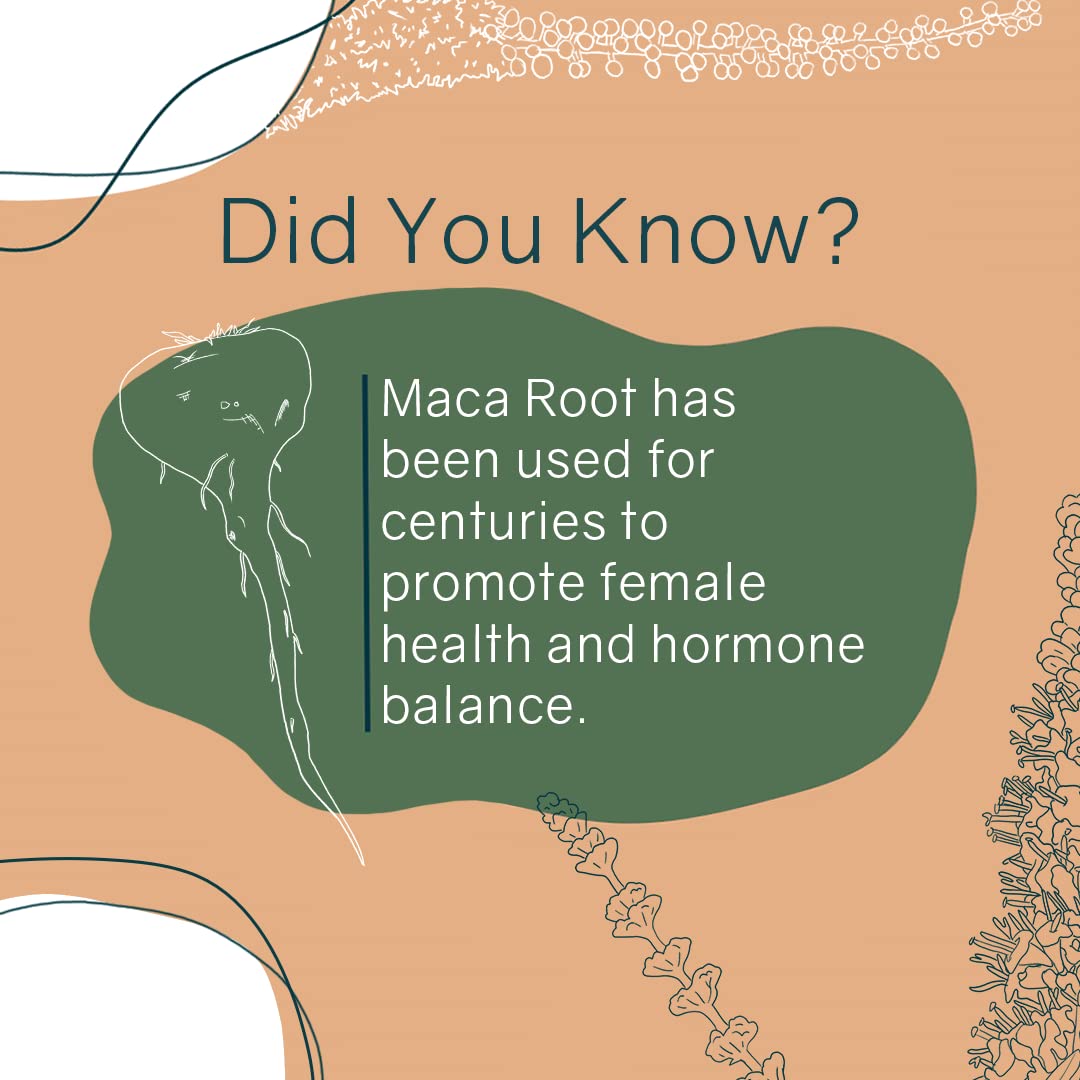 OWL Balance - Menopause Support for Women - Menopause + Perimenopause Relief OWL Balance