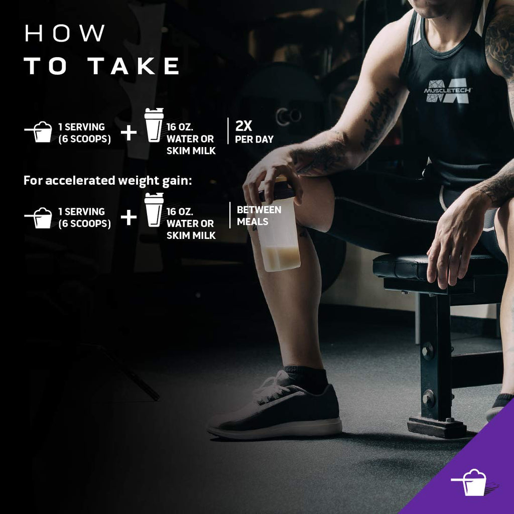 Mass Gainer MuscleTech 100% Mass Gainer Protein Powder Protein Powder for Muscle MuscleTech