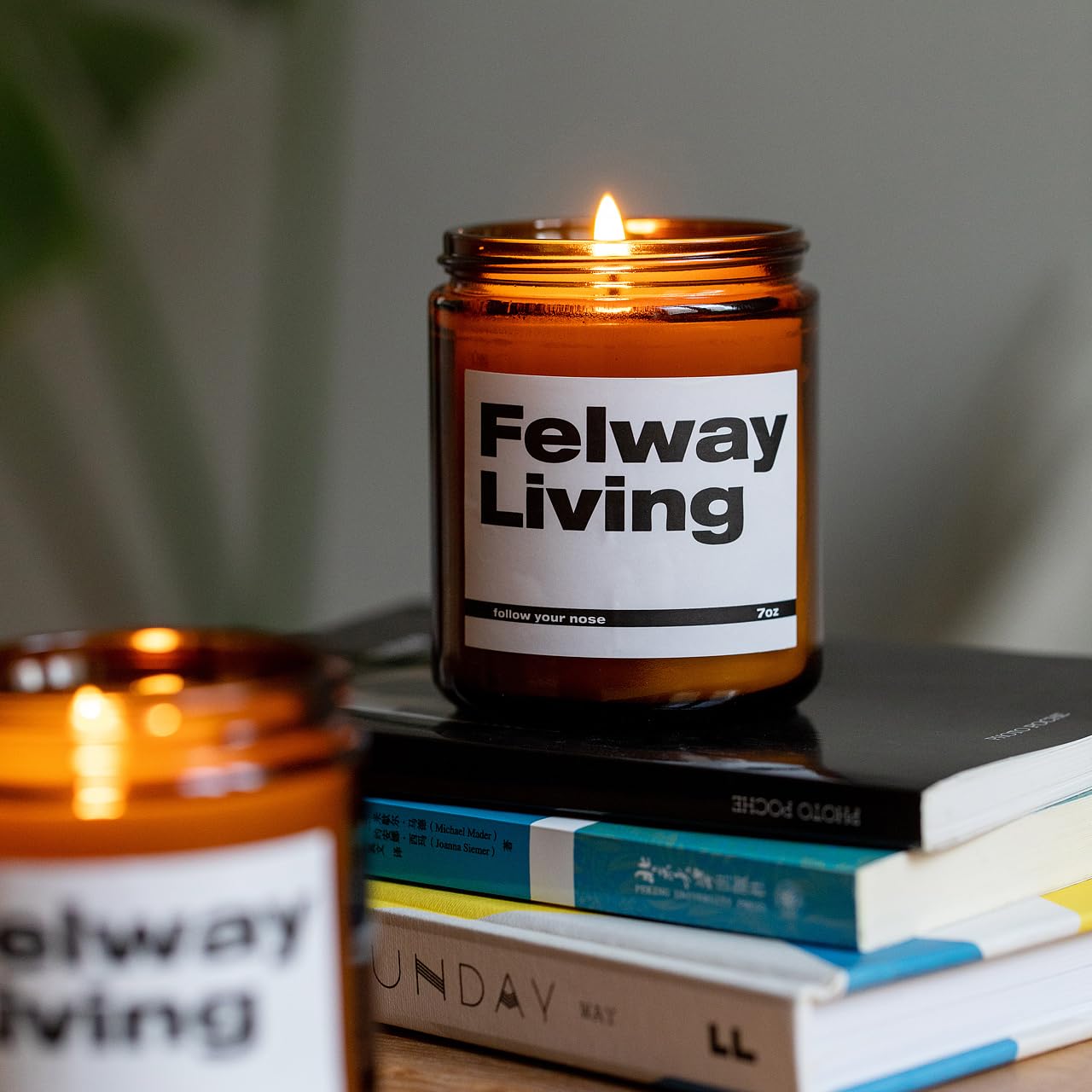 FELWAY Vanilla Scented Candle, Organic Soy Candle for Home Scented, 7 oz Long Lasting, Gift for Women's FELWAY