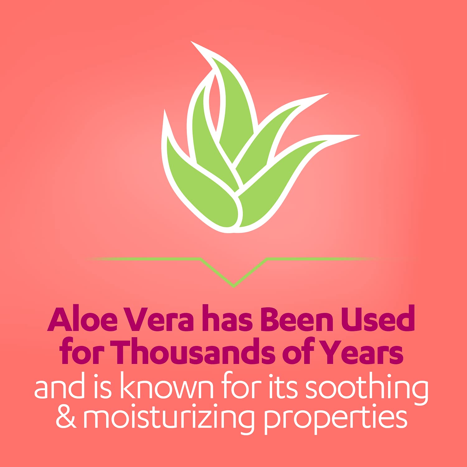 AZO Complete Feminine Balance Daily Probiotics for Women & Boric Acid Vaginal Suppositories AZO