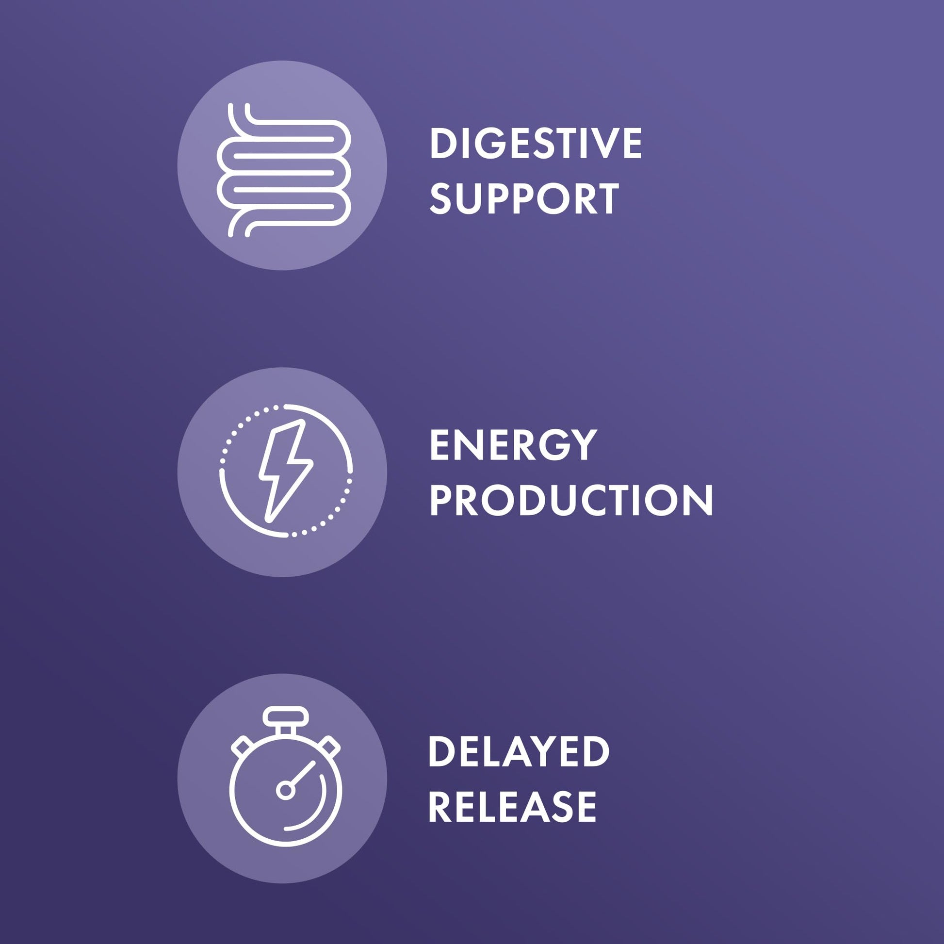 Dr. Mercola Gallbladder Enzymes, 30 Servings (30 Capsules), Dietary Supplement Dr. Mercola