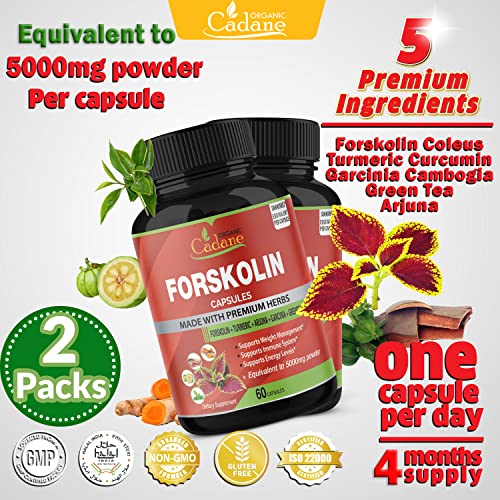 2 Packs Organic Forskolin Supplements Capsules 5000mg with Turmeric, Arjuna, Garcinia Cambogia