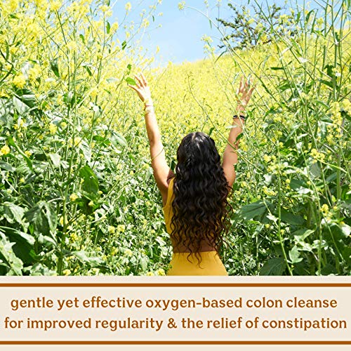 Solluna by Kimberly Snyder Feel Good Detoxy — Natural Colon Cleanse & Digestion SOLLUNA BY KIMBERLY SNYDER