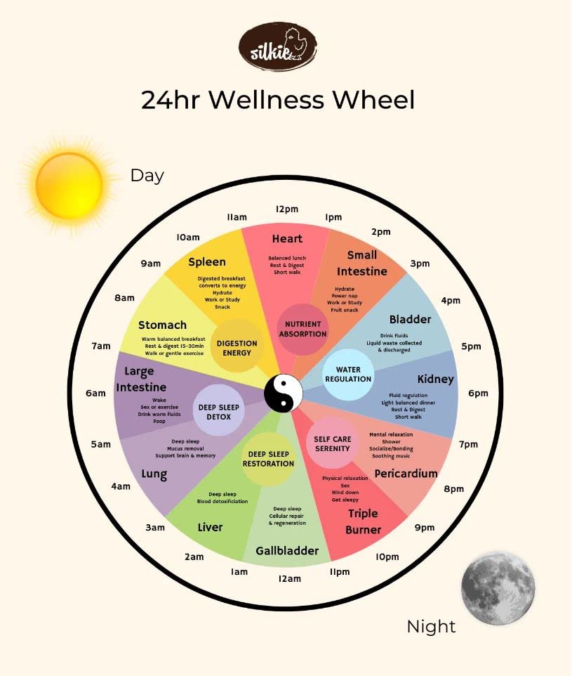 Silkie Herbs Menopause Formula - Hormornal Support and Menopause Relief from Hot Flashes & Night Sweats Silkie