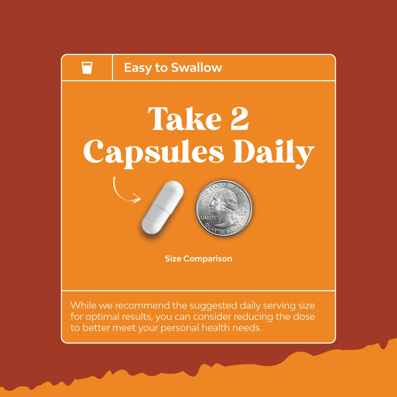 Natural White Kidney Bean Extract - White Kidney Bean Energy Booster AMPK Activator Natures Craft