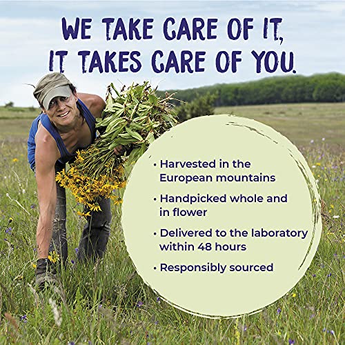 Boiron Arnica Montana 30C Homeopathic Medicine for Relief from Muscle Pain, Muscle Stiffness, Swelling Boiron