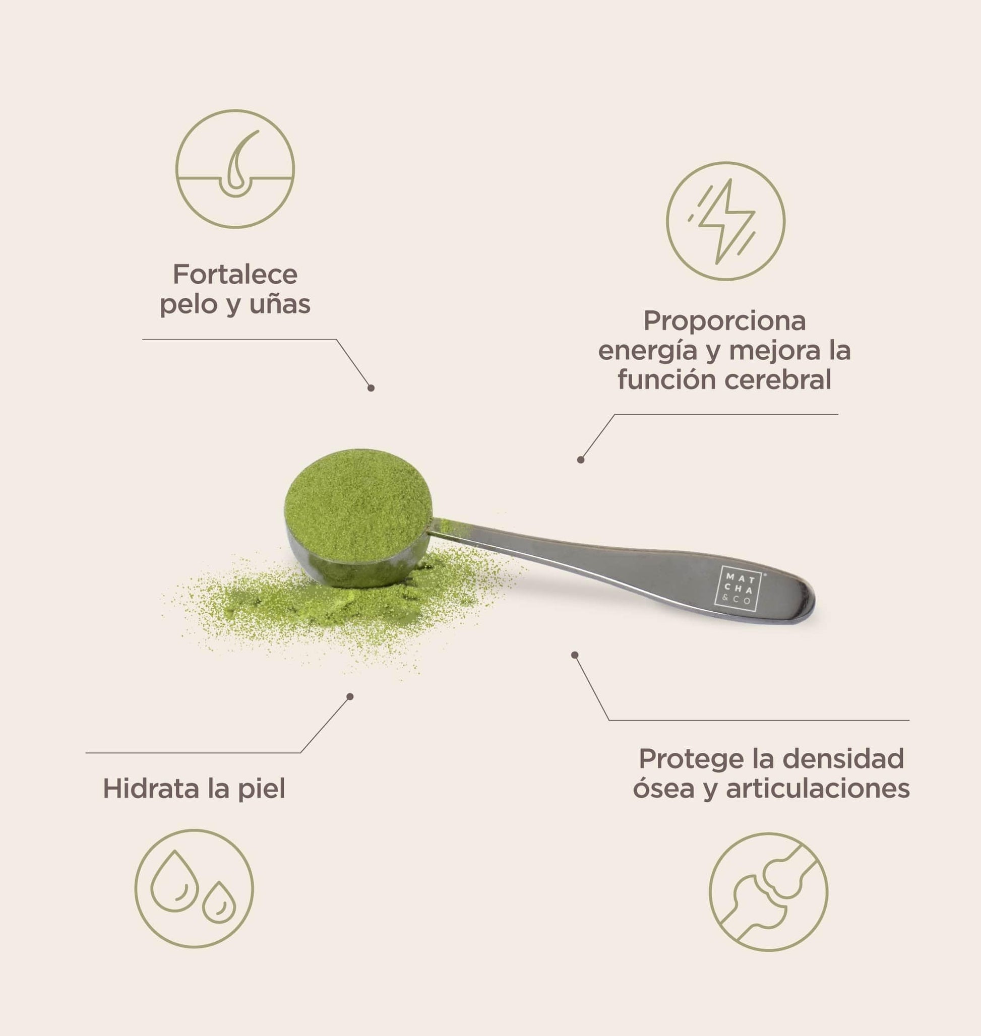 Collagen with Magnesium, Matcha Tea and Hyaluronic Acid. Joints, skin and nails Matcha & CO