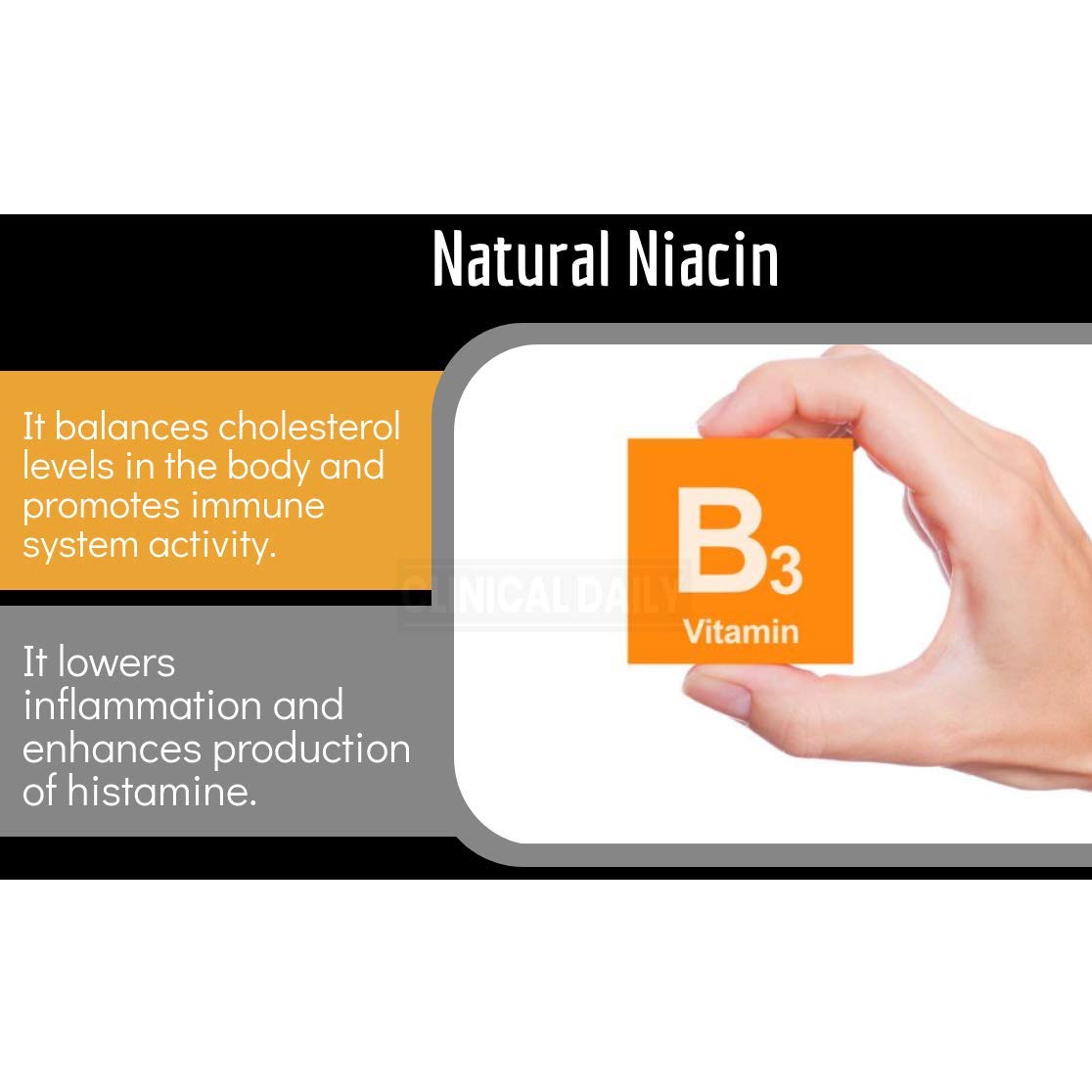 Clinical Daily Blood Circulation Supplements. Butchers Broom, Horse Chestnut, Hawthorn Clinical Daily