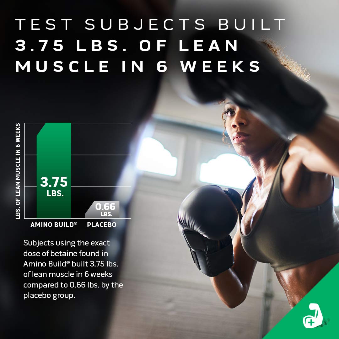 BCAA Amino Acids + Electrolyte Powder, MuscleTech Amino Build, 7g of BCAAs + Electrolyt MuscleTech