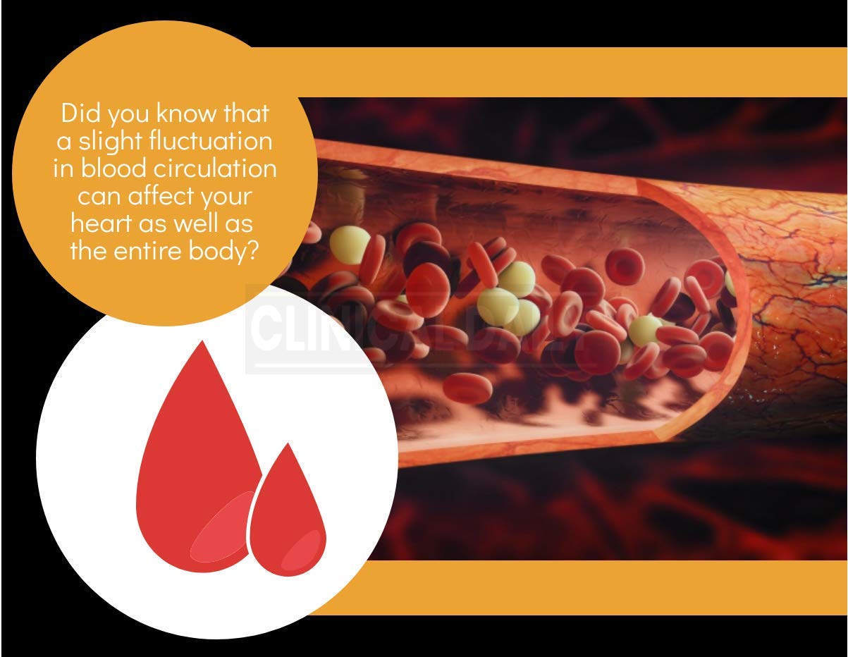 Clinical Daily Blood Circulation Supplements. Butchers Broom, Horse Chestnut, Hawthorn