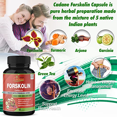 2 Packs Organic Forskolin Supplements Capsules 5000mg with Turmeric, Arjuna, Garcinia Cambogia
